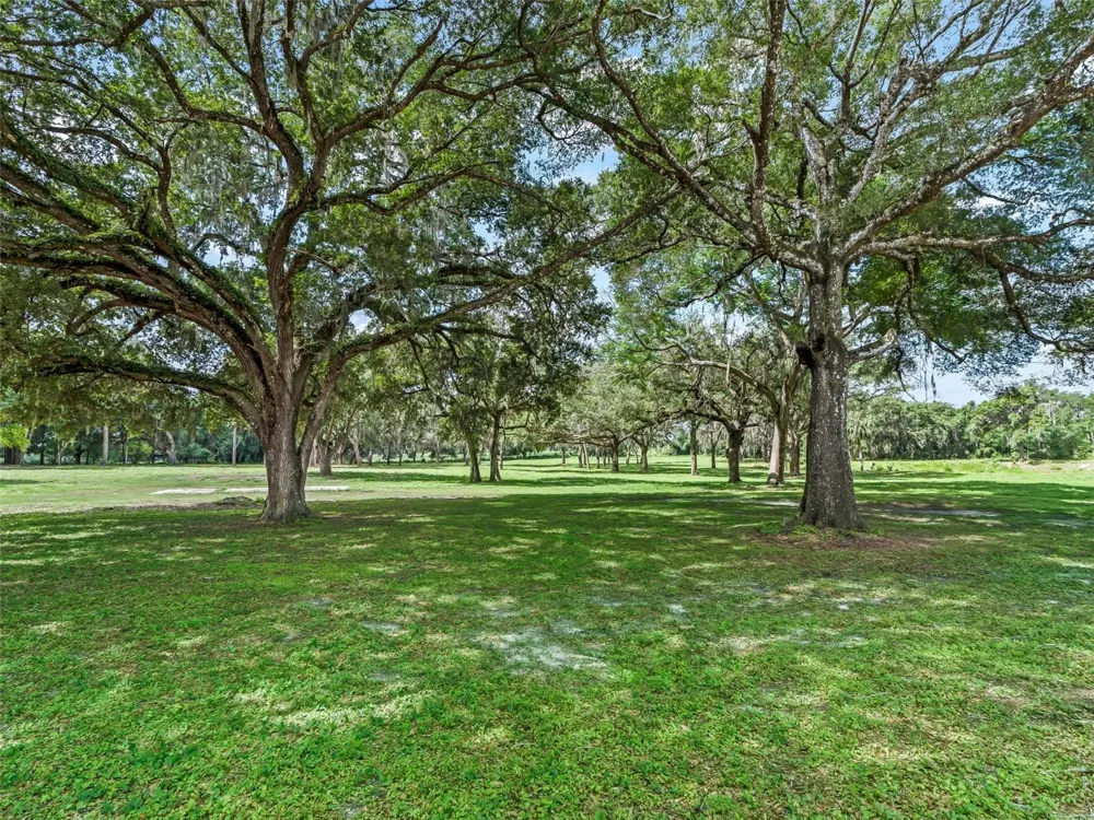 10660 E BUSHNELL ROAD Floral City, FL 34436