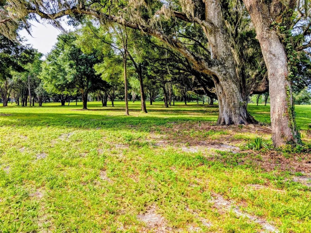 10660 E BUSHNELL ROAD Floral City, FL 34436