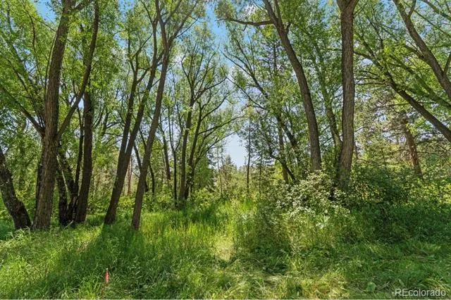 222 Clio Avenue Palmer Lake, CO 80133