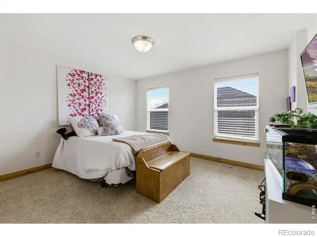 8295 Avalon Court Windsor, CO 80528