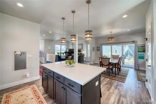 1404 Matchstick Green Leadville, CO 80461