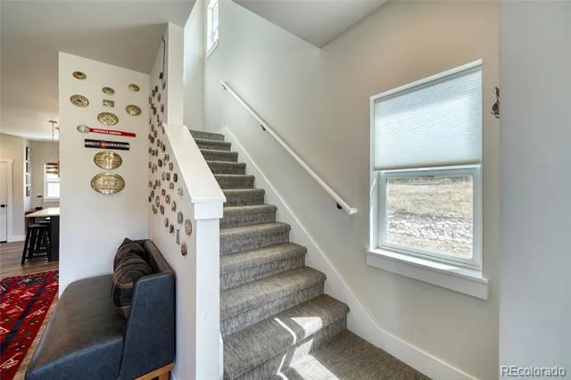 1404 Matchstick Green Leadville, CO 80461