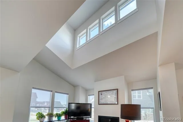 1404 Matchstick Green Leadville, CO 80461