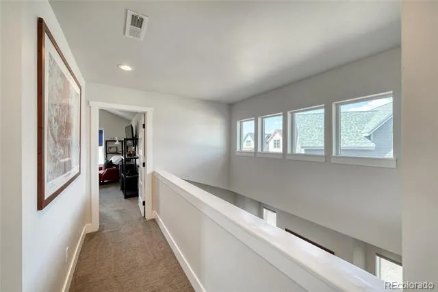 1404 Matchstick Green Leadville, CO 80461