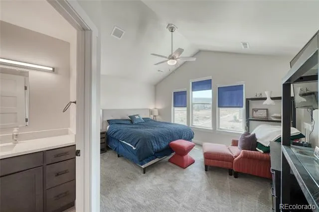 1404 Matchstick Green Leadville, CO 80461