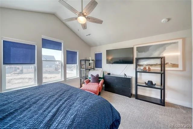 1404 Matchstick Green Leadville, CO 80461