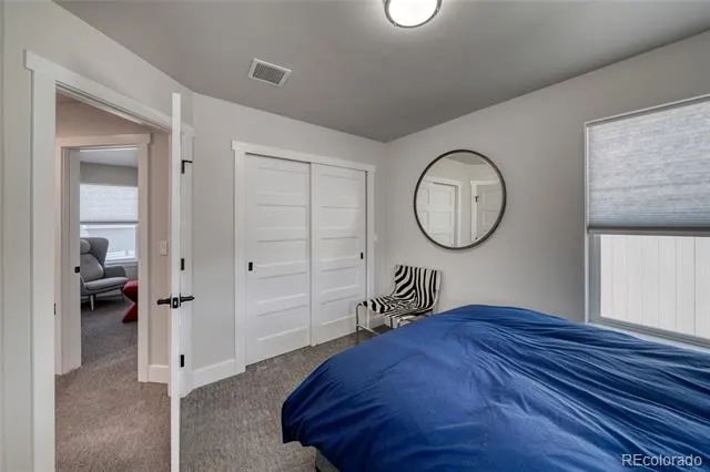 1404 Matchstick Green Leadville, CO 80461