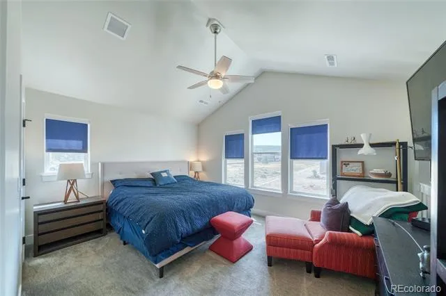 1404 Matchstick Green Leadville, CO 80461