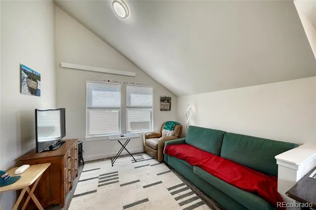 1404 Matchstick Green Leadville, CO 80461
