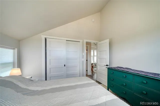 1404 Matchstick Green Leadville, CO 80461