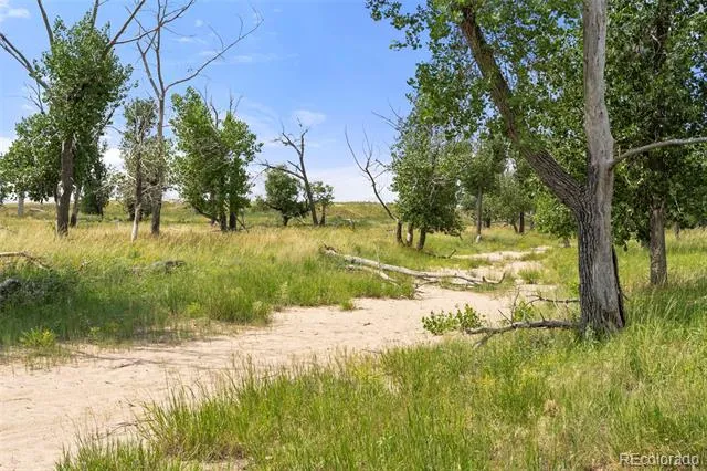 0 Resolis Road Matheson, CO 80830