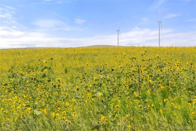 0 Resolis Road Matheson, CO 80830