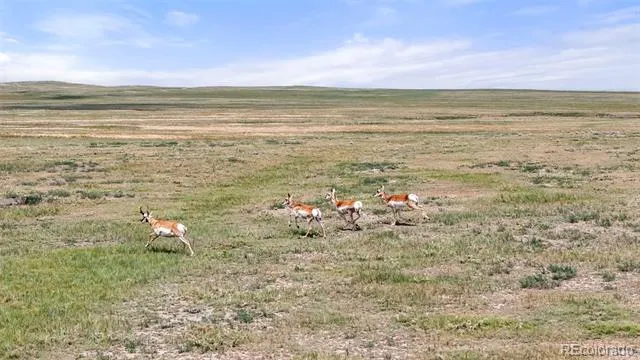 0 Resolis Road Matheson, CO 80830