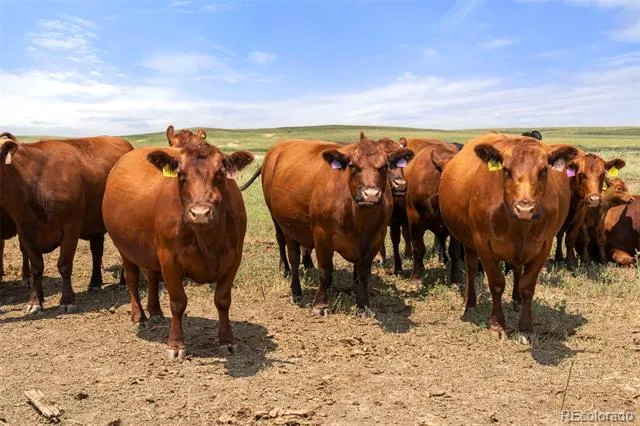 0 Resolis Road Matheson, CO 80830