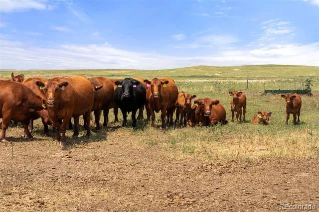 0 Resolis Road Matheson, CO 80830