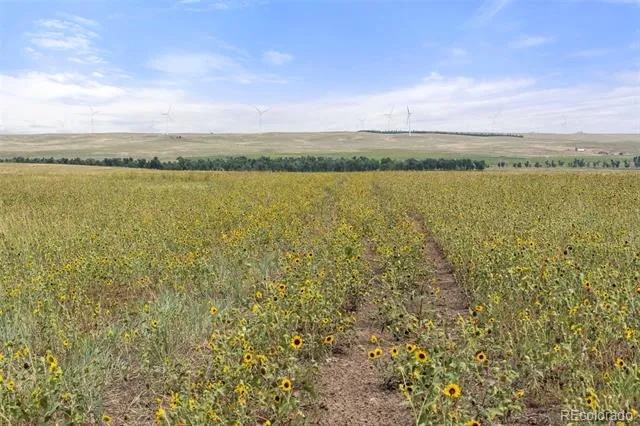 0 Resolis Road Matheson, CO 80830