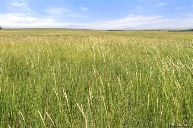 0 Resolis Road Matheson, CO 80830