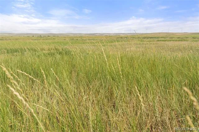 0 Resolis Road Matheson, CO 80830