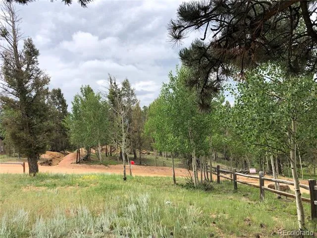 169 Daisy Street Woodland Park, CO 80863