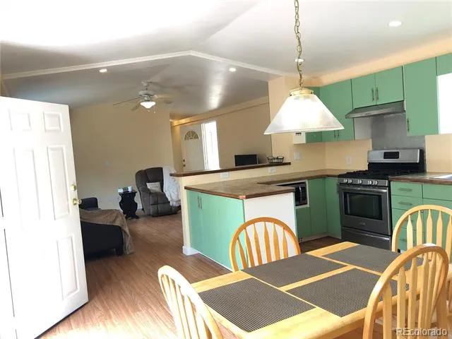 169 Daisy Street Woodland Park, CO 80863
