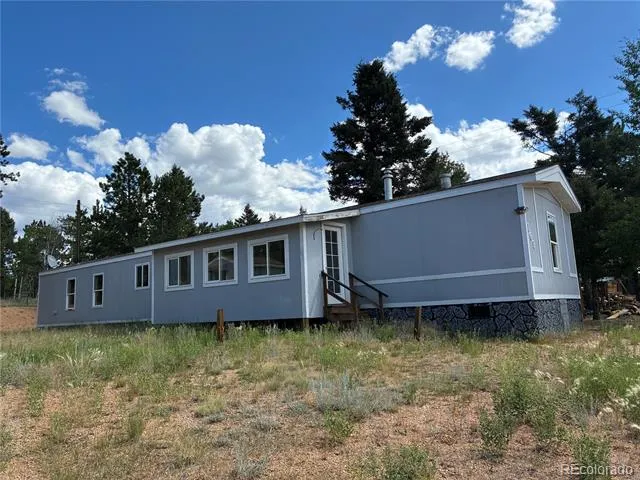 169 Daisy Street Woodland Park, CO 80863