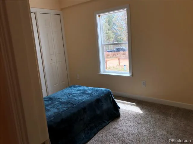 169 Daisy Street Woodland Park, CO 80863