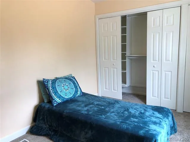 169 Daisy Street Woodland Park, CO 80863