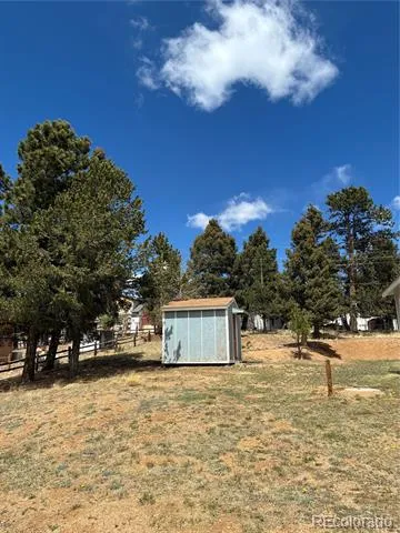 169 Daisy Street Woodland Park, CO 80863