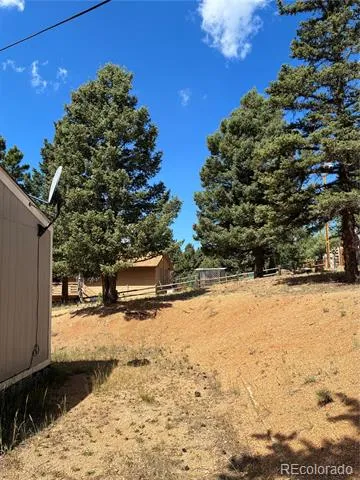 169 Daisy Street Woodland Park, CO 80863