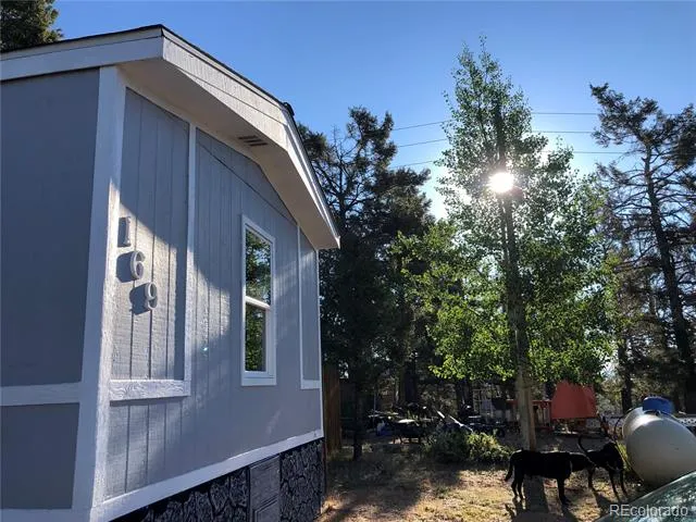 169 Daisy Street Woodland Park, CO 80863