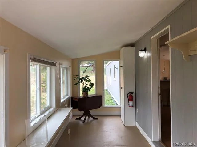 169 Daisy Street Woodland Park, CO 80863