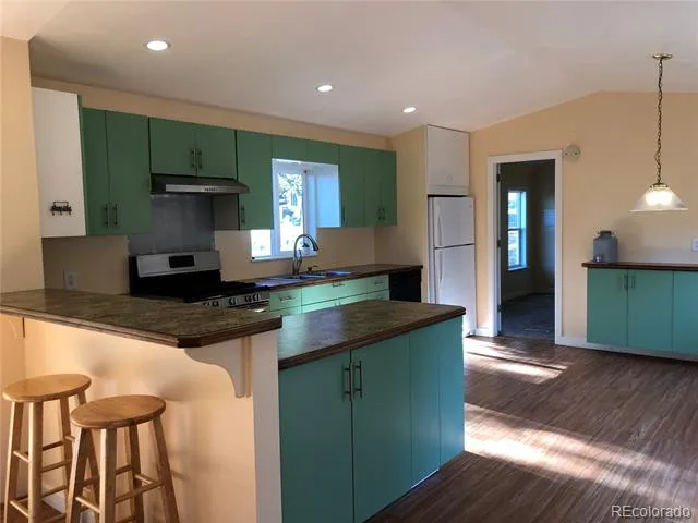169 Daisy Street Woodland Park, CO 80863