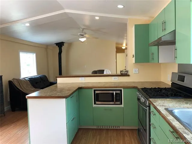 169 Daisy Street Woodland Park, CO 80863