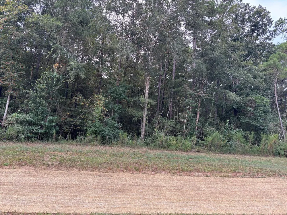 15223 Forest Grove Drive Willis, TX 77378