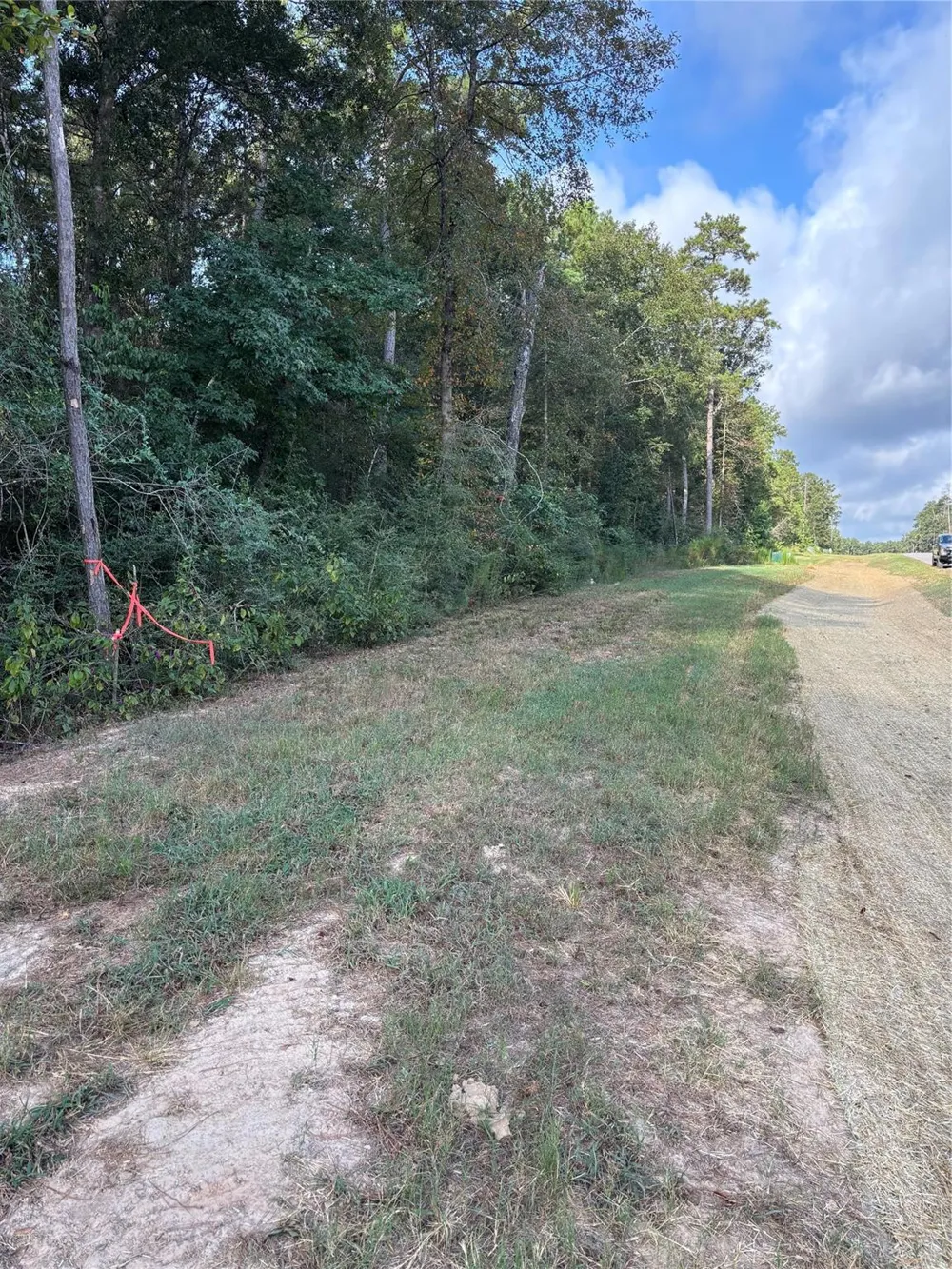 15223 Forest Grove Drive Willis, TX 77378