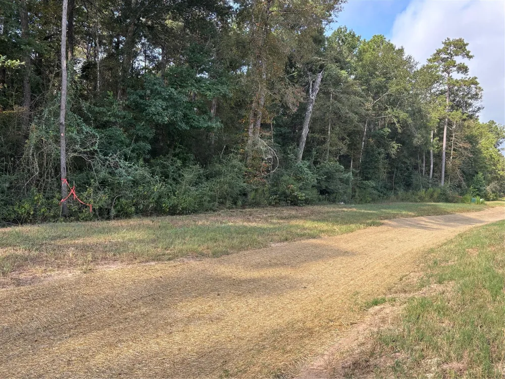 15223 Forest Grove Drive Willis, TX 77378
