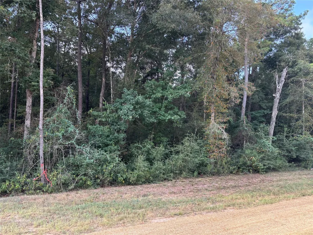 15223 Forest Grove Drive Willis, TX 77378