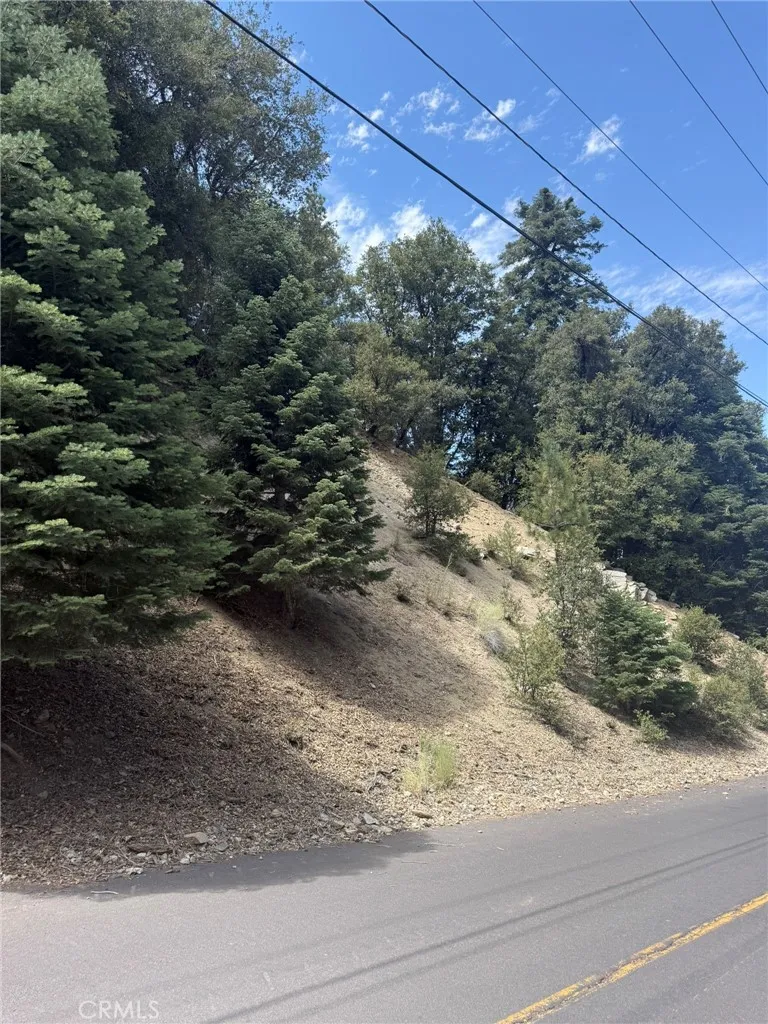 1313 Bernina Pine Mountain Club, CA 93222