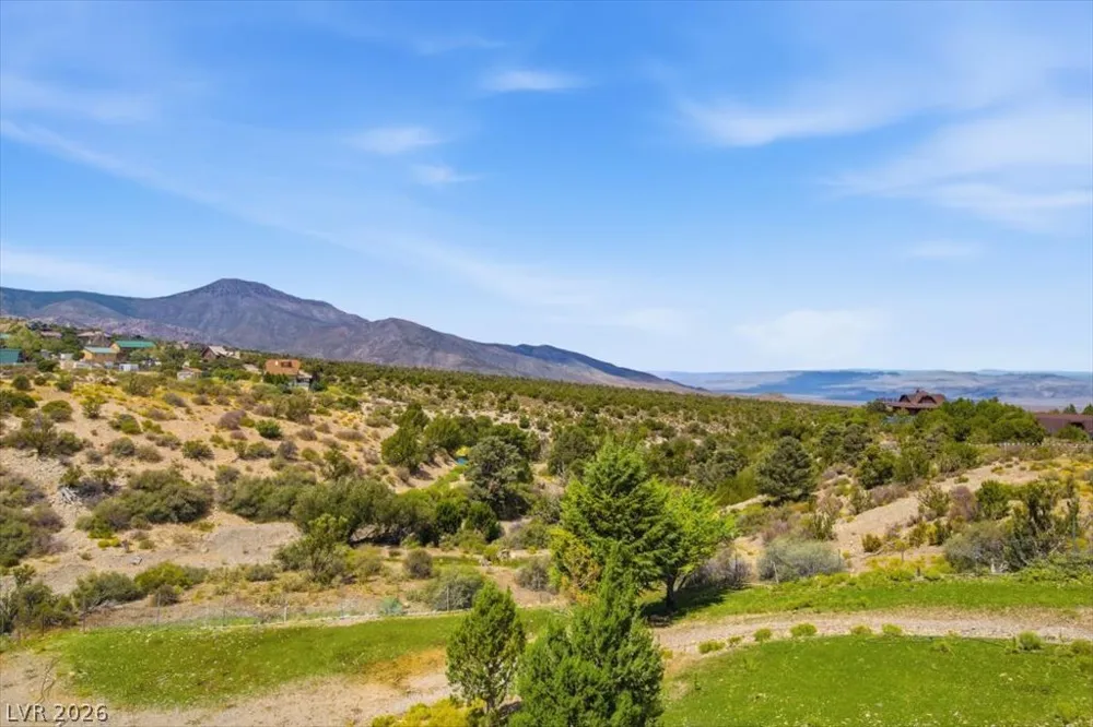 78 Pine Road Cold Creek, NV 89124