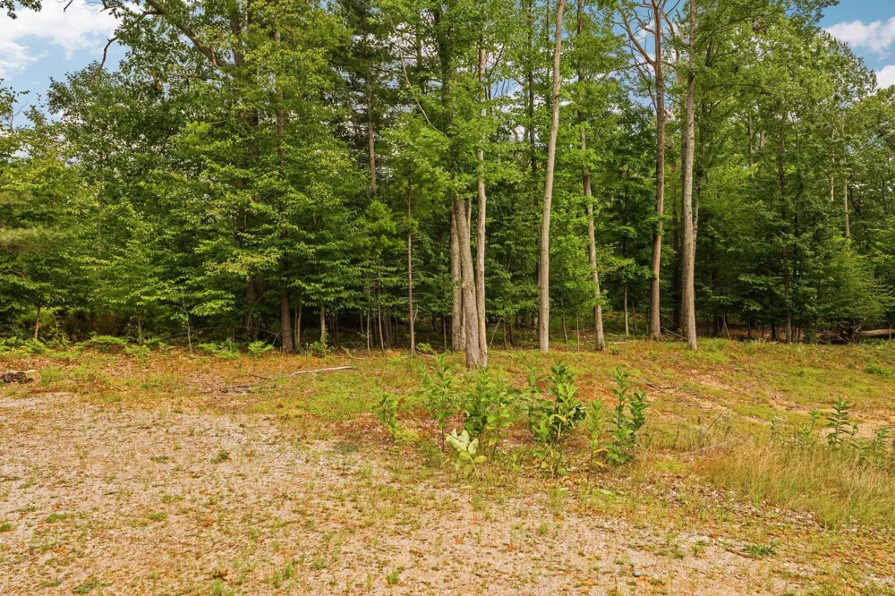 2238 Arbutus Pointe Drive East Bay Township, MI 49696