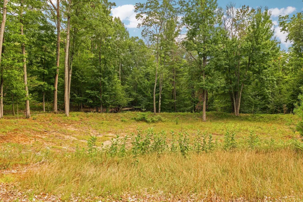 2238 Arbutus Pointe Drive East Bay Township, MI 49696