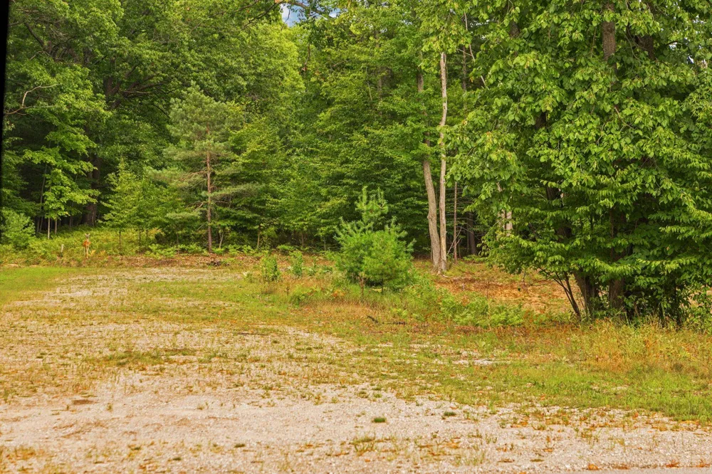 2238 Arbutus Pointe Drive East Bay Township, MI 49696