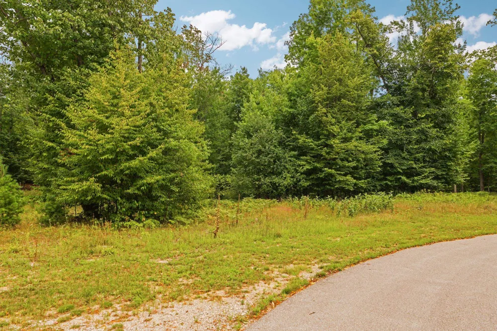 2238 Arbutus Pointe Drive East Bay Township, MI 49696