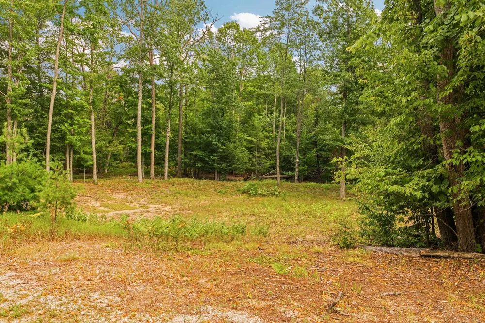 2238 Arbutus Pointe Drive East Bay Township, MI 49696