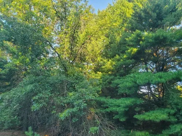 5172 S M-33 Horton Township, MI 48610