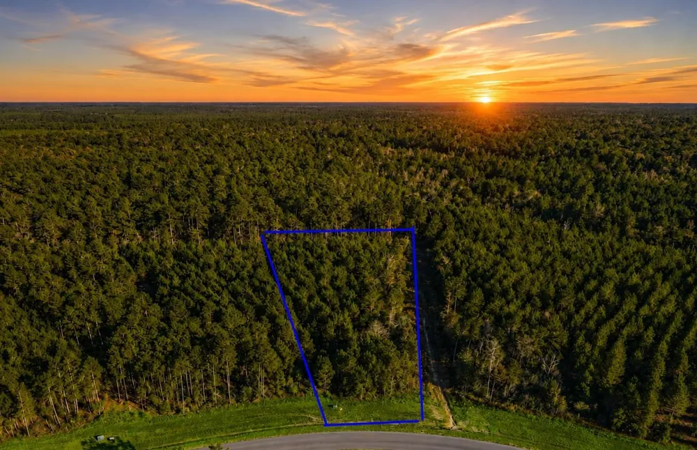 12696 Oak Barrel Road Willis, TX 77378