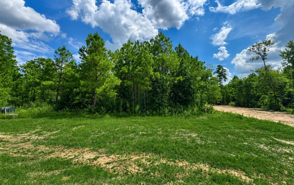 12696 Oak Barrel Road Willis, TX 77378