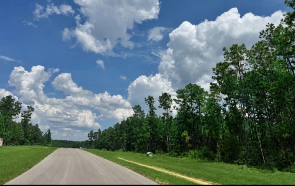 12696 Oak Barrel Road Willis, TX 77378