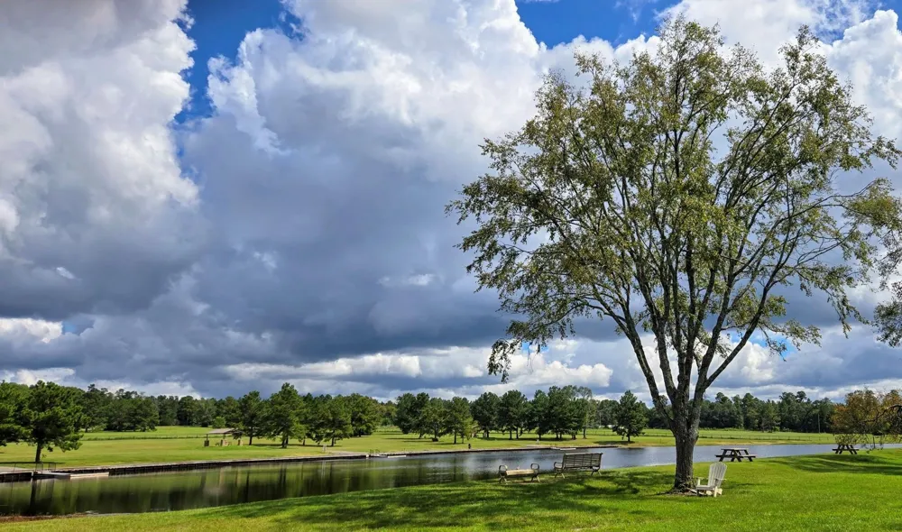 12684 Oak Barrel Road Willis, TX 77378