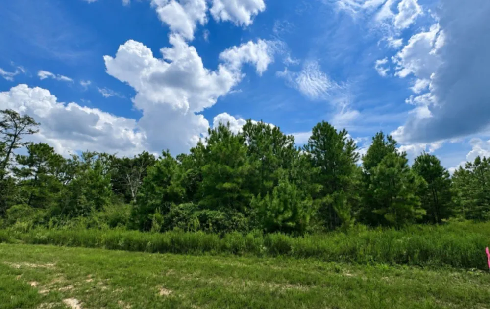12684 Oak Barrel Road Willis, TX 77378
